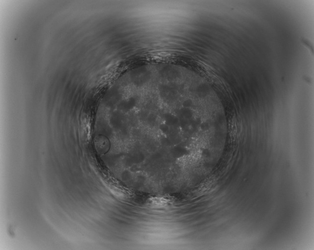 X0000101980703200807251234