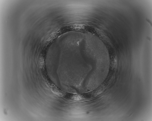 X0000101980704200807251234