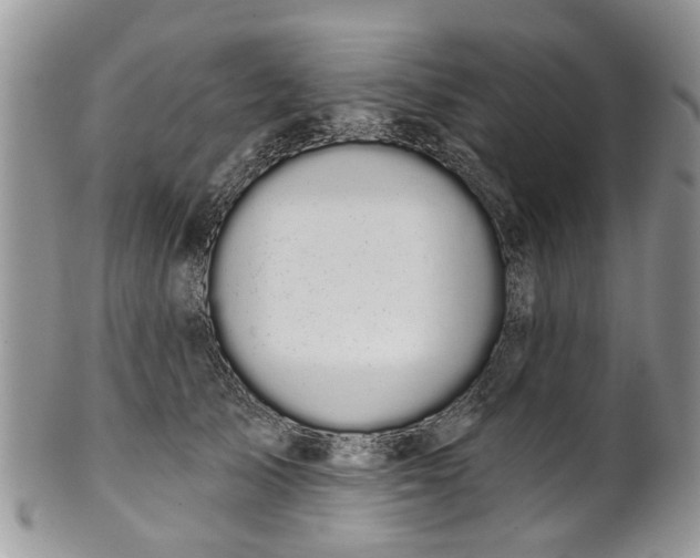 X0000101980705200807251234