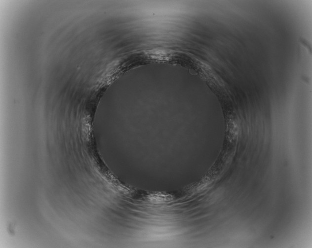 X0000101980707200807251233