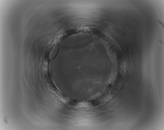 X0000101980708200807251233