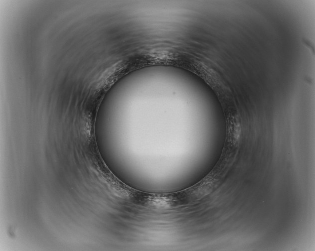 X0000101980710200807251233