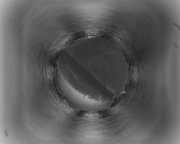 X0000101980712200807251233