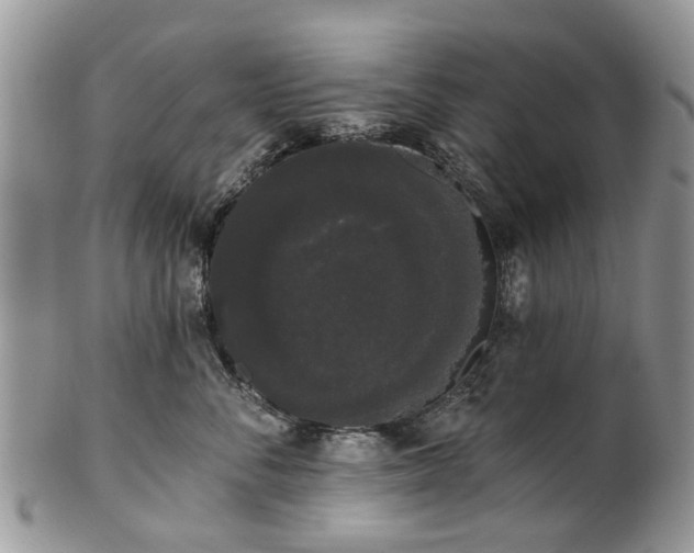 X0000101980716200807251233