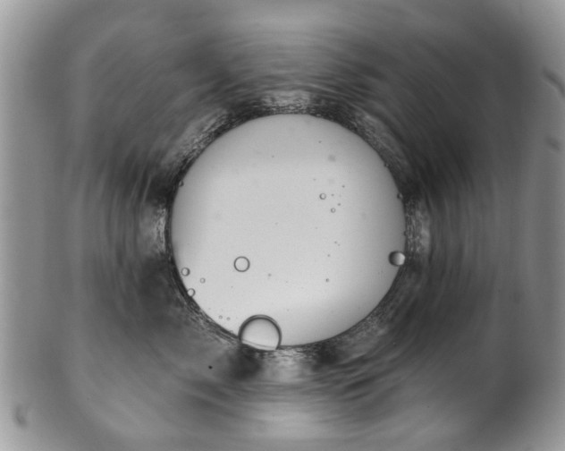 X0000101980717200807251233