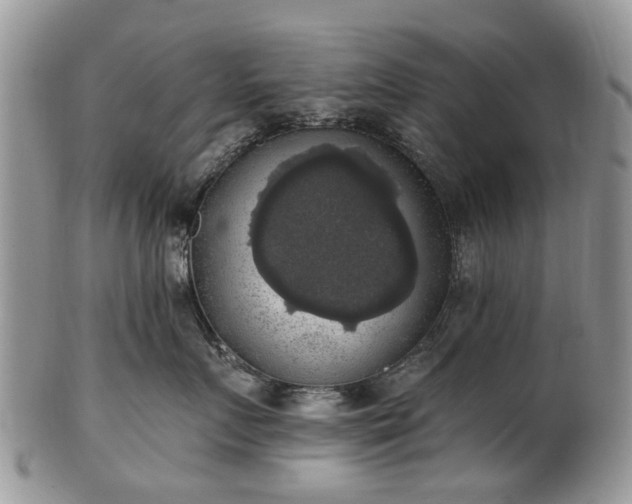 X0000101980719200807251233