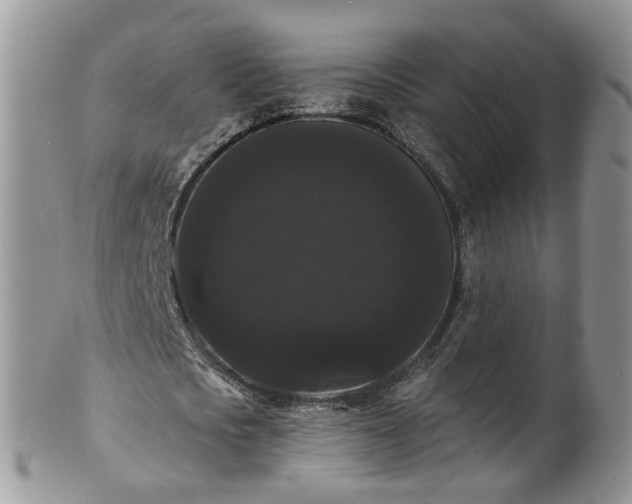 X0000101980721200807251233