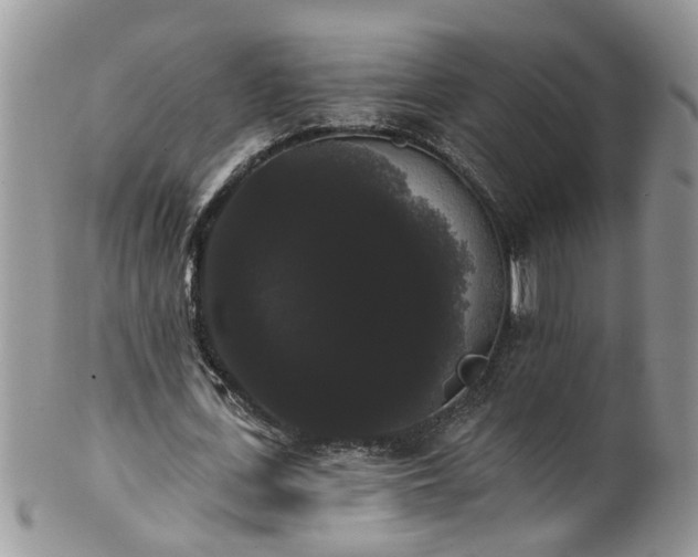 X0000101980723200807251233