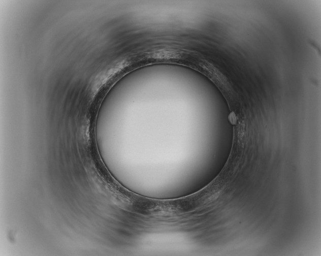 X0000101980727200807251233