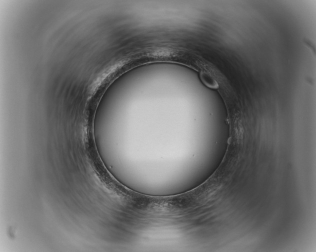 X0000101980728200807251233