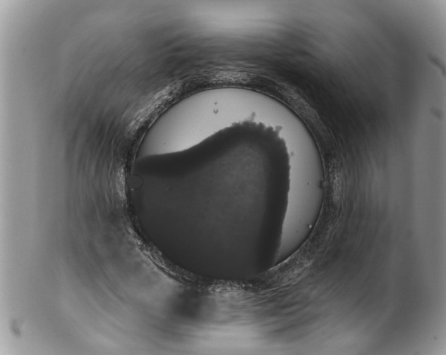 X0000101980729200807251233