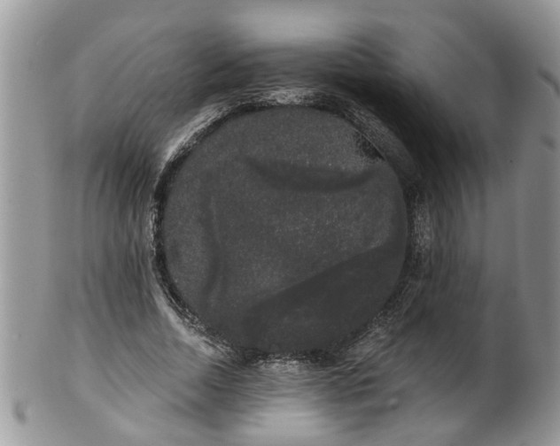 X0000101980730200807251233