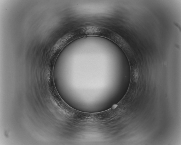 X0000101980732200807251233