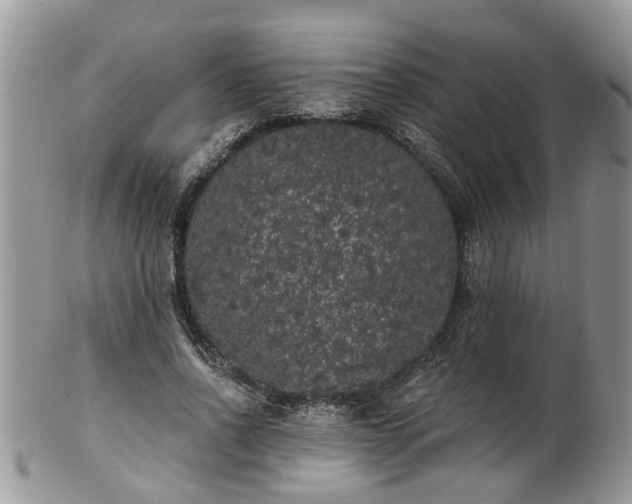 X0000101980734200807251233