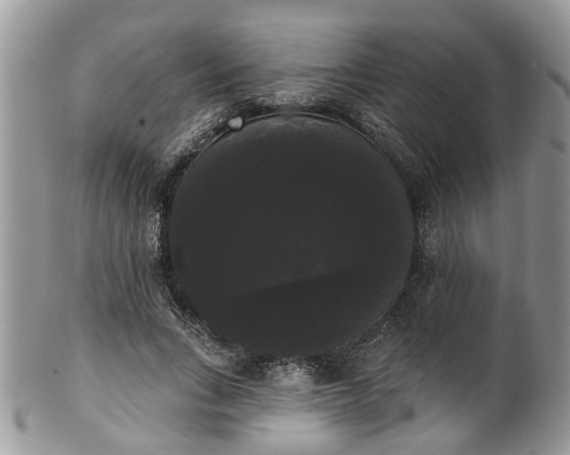 X0000101980735200807251233