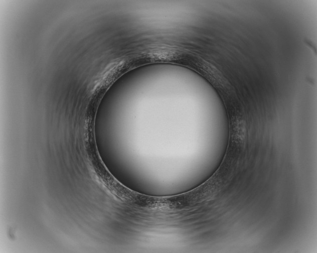 X0000101980738200807251233