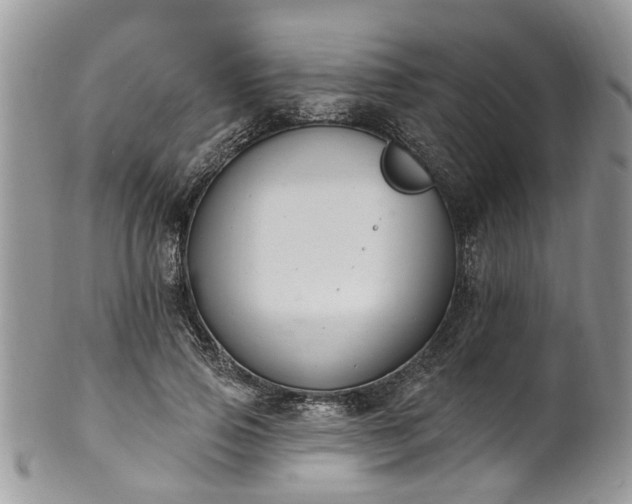 X0000101980741200807251233