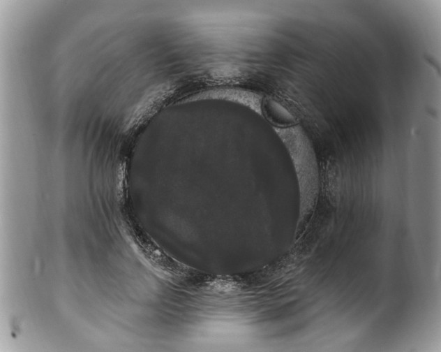 X0000101980742200807251233