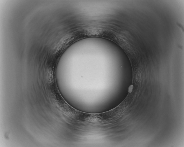 X0000101980743200807251233