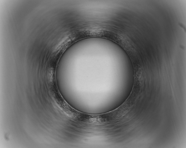 X0000101980744200807251233