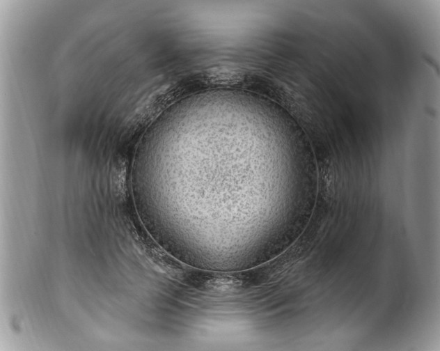 X0000101980745200807251233