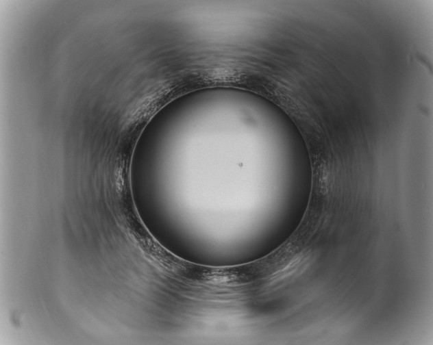 X0000101980746200807251233