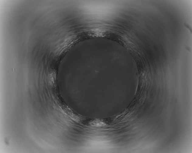 X0000101980747200807251233