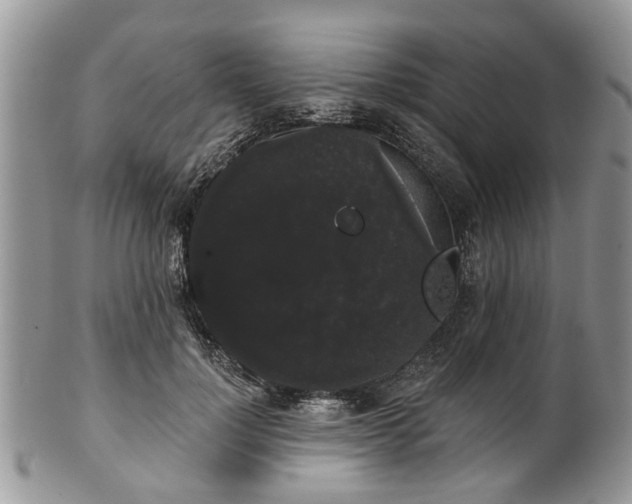 X0000101980748200807251233