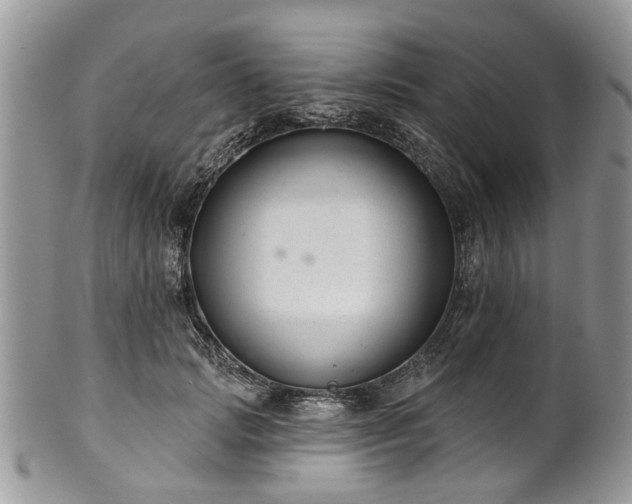 X0000101980749200807251233