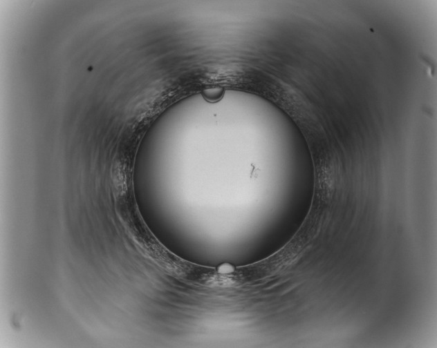 X0000101980751200807251233