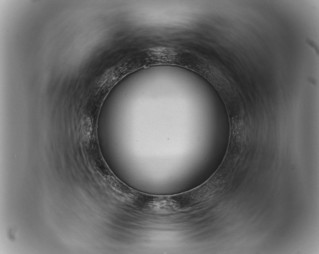 X0000101980752200807251233