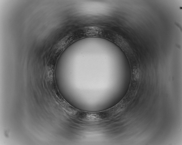 X0000101980753200807251233