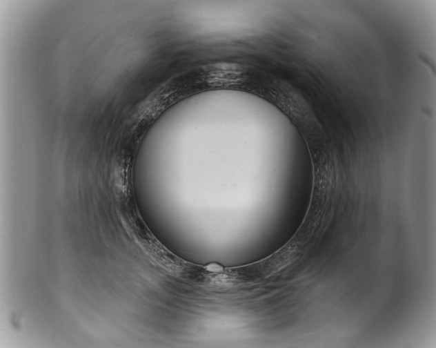 X0000101980755200807251233