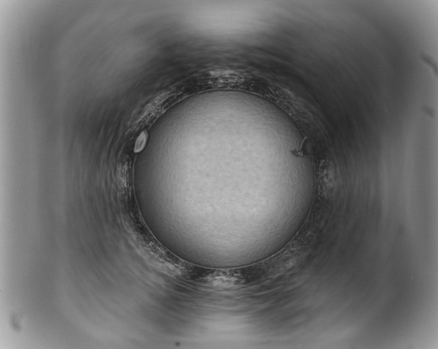 X0000101980756200807251233