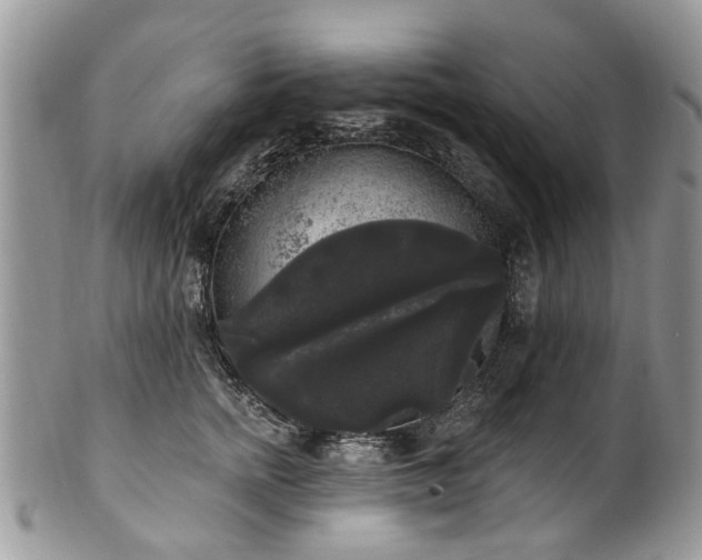 X0000101980758200807251233