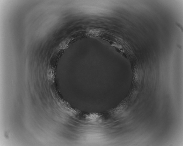 X0000101980759200807251233