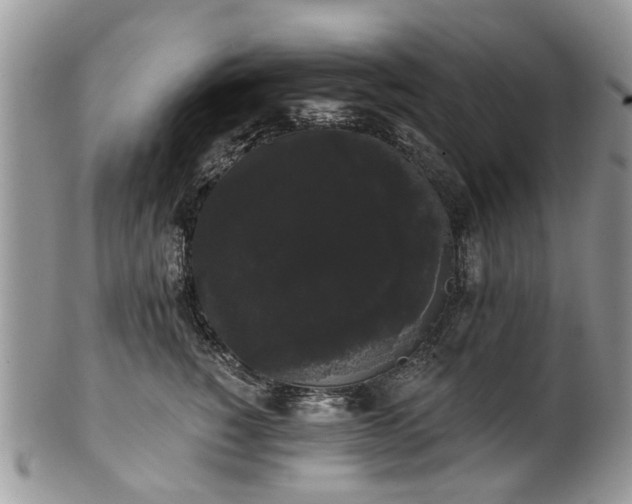 X0000101980760200807251233