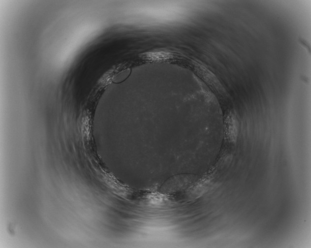 X0000101980762200807251233