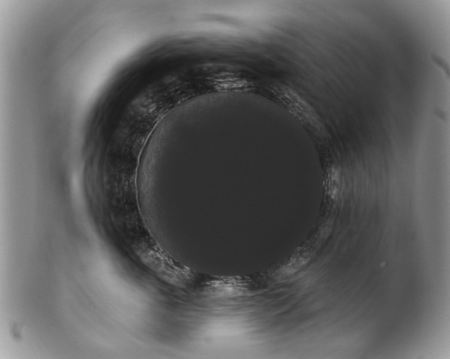 X0000101980763200807251233