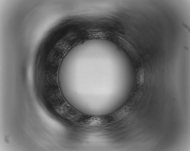 X0000101980764200807251233