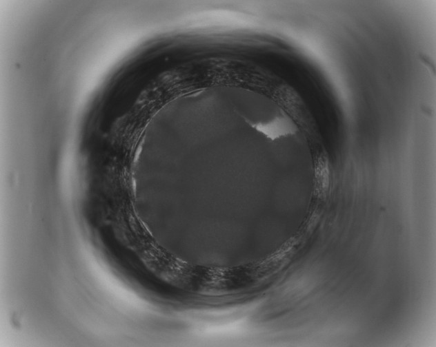 X0000101980765200807251233