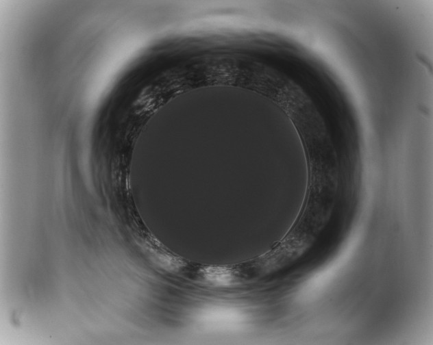 X0000101980766200807251233