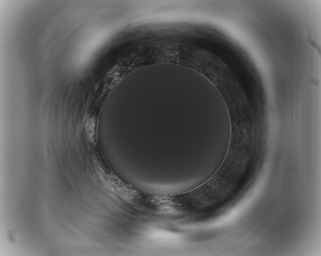 X0000101980767200807251233