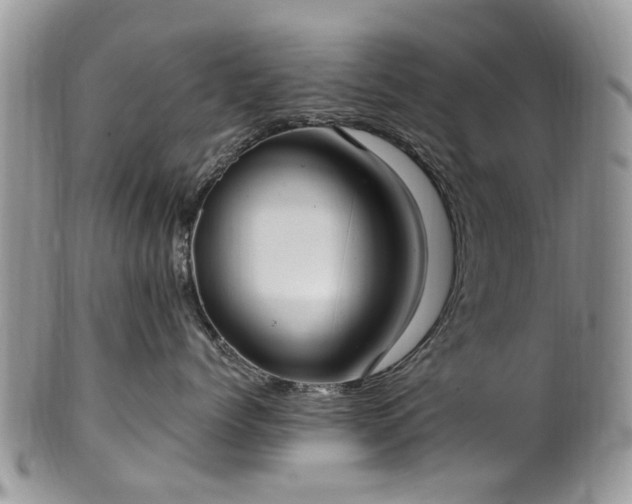 X0000101980768200807251233