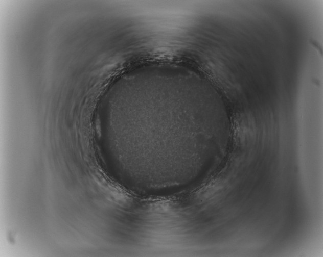 X0000101980769200807251233