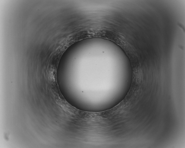 X0000101980770200807251233