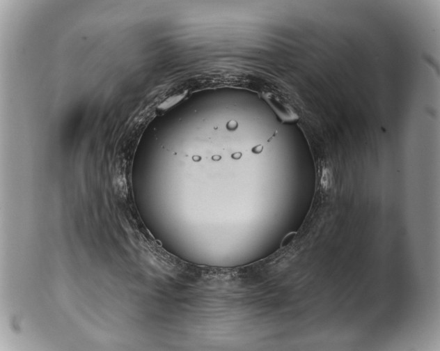 X0000101980771200807251233