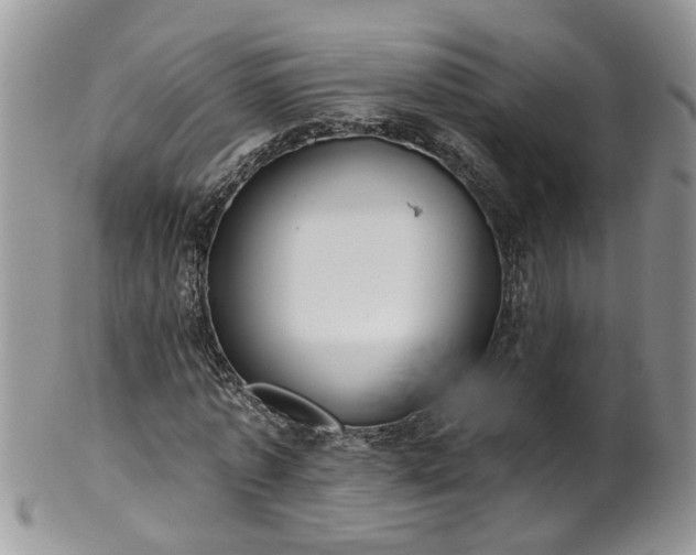 X0000101980773200807251233