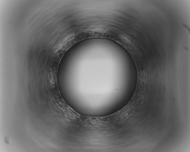 X0000101980774200807251233