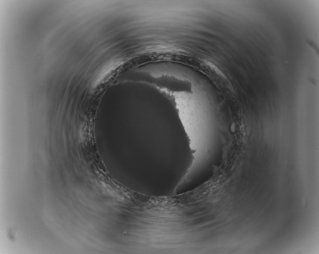 X0000101980775200807251233